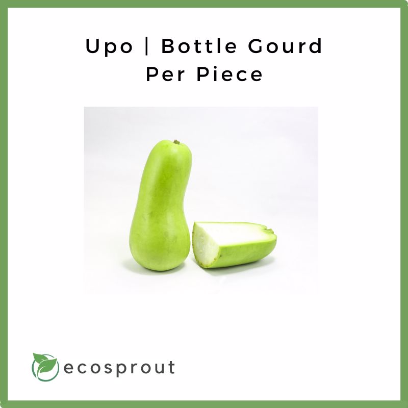 Upo | Bottle Gourd | Piece