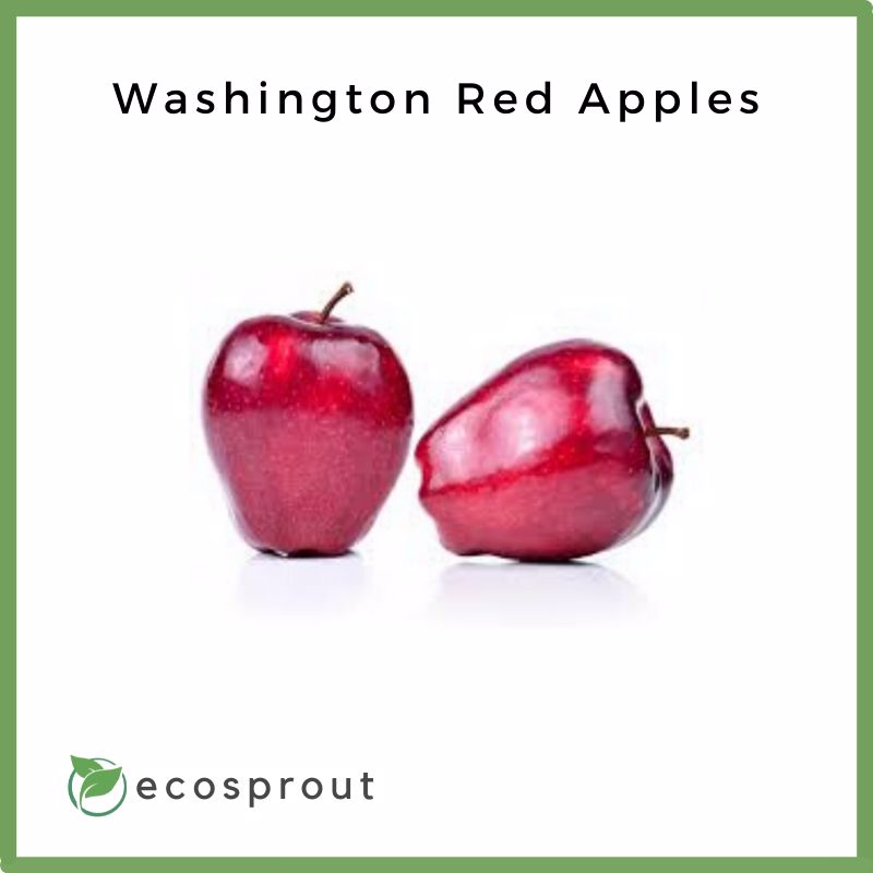 Washington Red Apple | 3 for 165