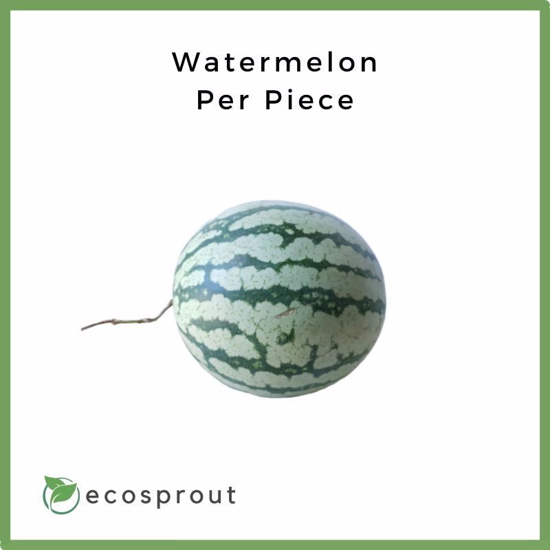 Watermelon | Piece
