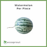 Watermelon | Piece