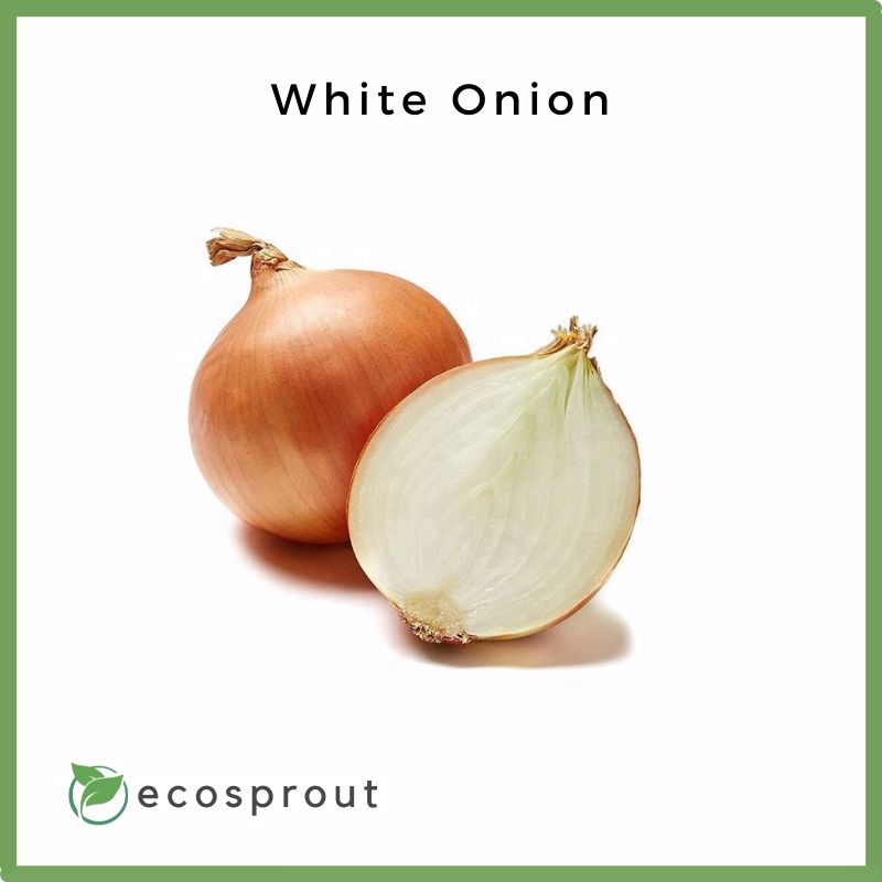 White Onion | From 250g