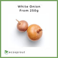 White Onion | From 250g