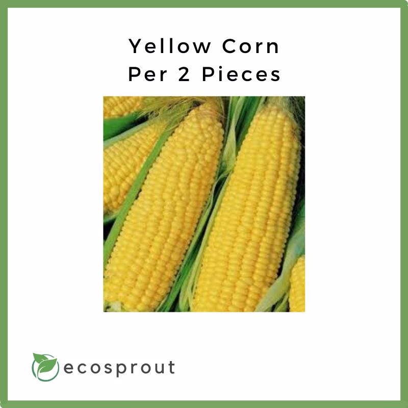 Yellow Corn for Delivery per 2 pieces