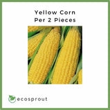 Yellow Corn | 3 for 185